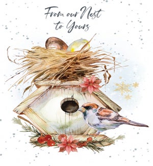 XM/From Our Nest