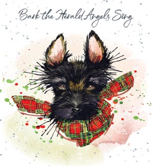 XM/Bark The Herald Angels Sing