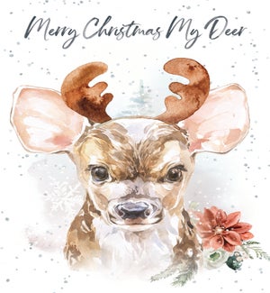 XM/Merry Christmas my deer