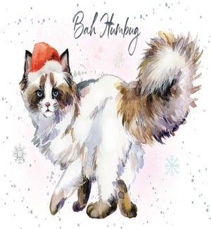 XM/Bah Humbug