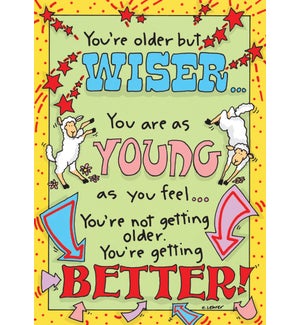 BD/You're older but wiser