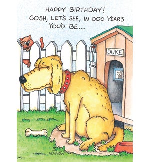 BD/In dog years you'd be...