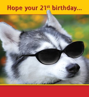 ABD/21st birthday is as cool