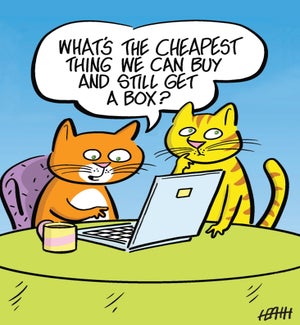 BD/What's the cheapest
