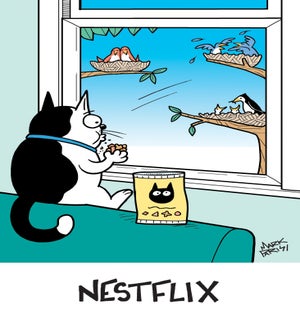BD/Nestflix