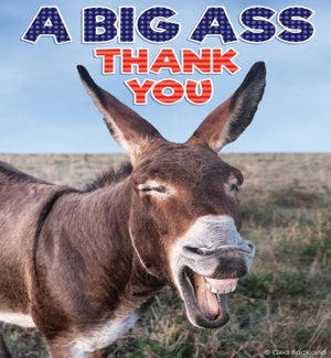 TY/Big Ass Thanks!
