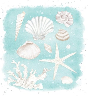 ENC/Beach Treasures