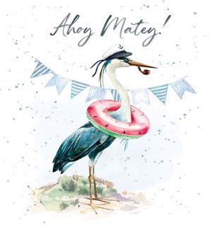 ED/Ahoy Matey