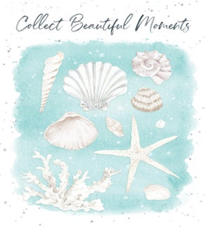 ED/Collect Moments