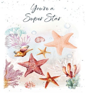 TY/Super Star