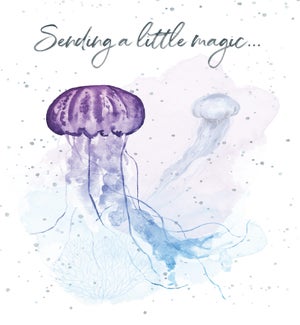 ED/A Little Magic