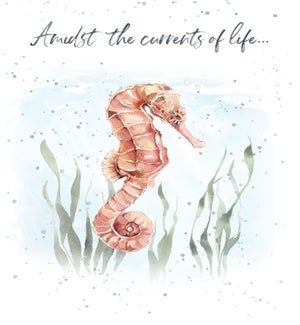 TH/Currents of Life