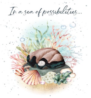 EN/Sea of Possibilities