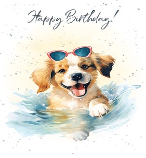 BD/Swimming Pup