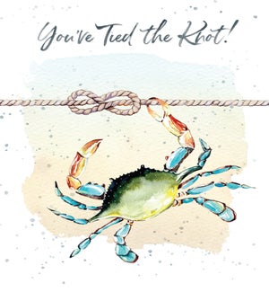 WD/Tied the Knot