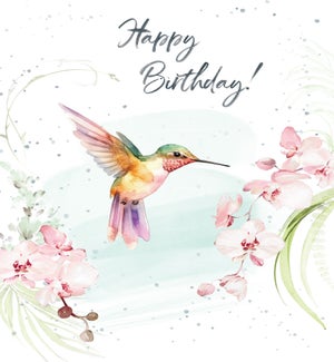 BD/Hummingbird Orchids