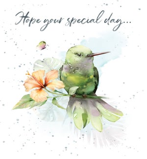 BD/Hibiscus Hummingbird