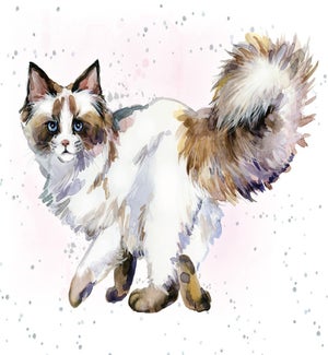 ENC/Hooked on a Feline