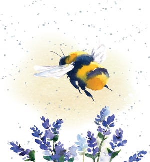BL/Hap-bee Day