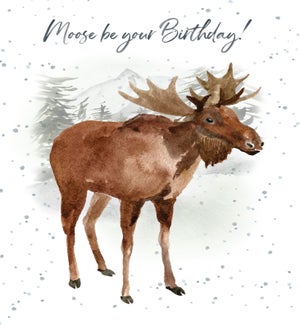 BD/Moose be