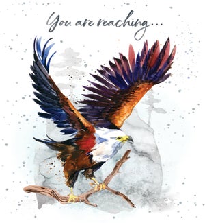 CO/Soaring Heights