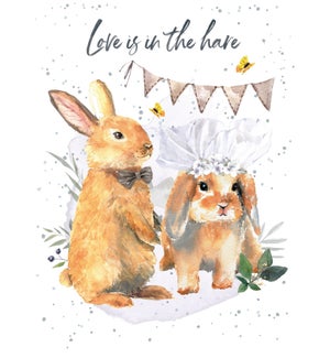 WD/Love in the Hare