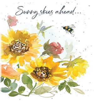 EN/Sunny Skies Ahead