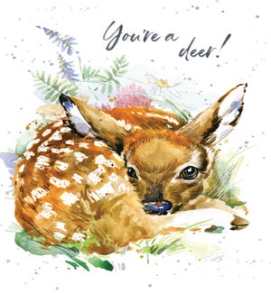 TY/You're a Deer