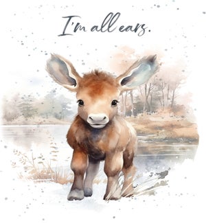 FR/I'm all Ears