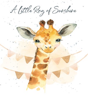 NB/Ray of Sunshine