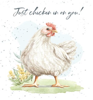 TH/Chicken In