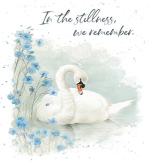 SY/In The Stillness