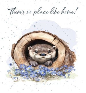 NH/No Place