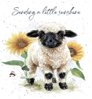 GW/Little Sunshine Lamb