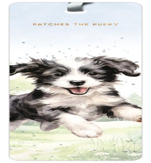 BM/Patches the Puppy