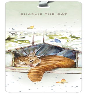 BM/Charlie the Cat