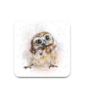 COASTER/Olivia the Owl