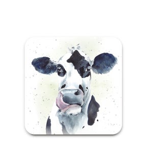 COASTER/Casey the Cow