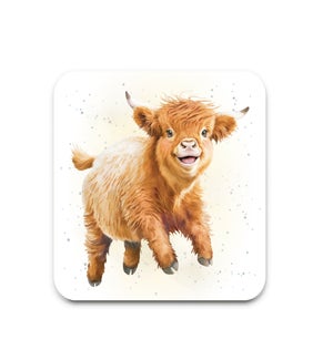 COASTER/Hailey the HighlandCow