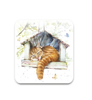 COASTER/Charlie the Cat