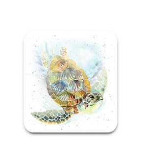 COA SIN/Sloane the Sea Turtle