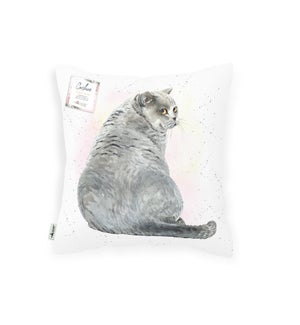 CUSHION/Clarice The Cat