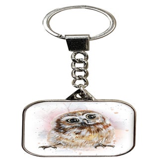 KEY/Olivia the Owl