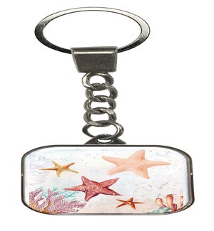 KEY/Stella the Starfish