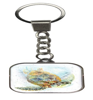 KEY/Sloane the Sea Turtle