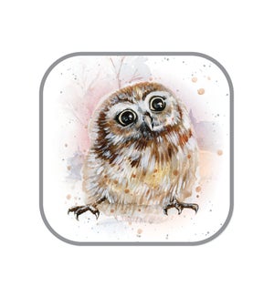 MAG/Olivia the Owl