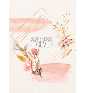 BD/Best Friends Forever