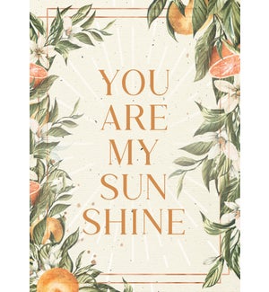 BD/You Are My Sunshine