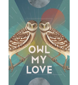 BD/Owl my Love