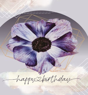 BD/Wishes come true